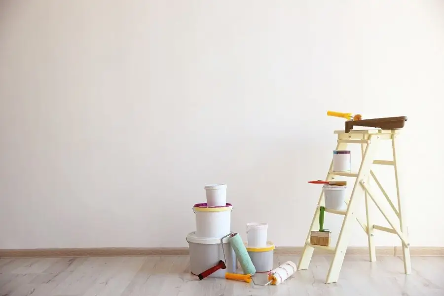 Wall Painting Kit