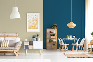 Trending Colour Combination for Living Room